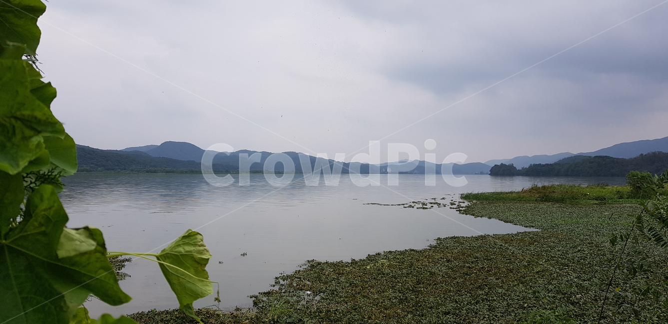 강,호수,물,구름,하늘,나무,잎사귀,자연,outdoors,nature,날씨,기온,계절,자연,풍경,nature,landscape,water,옥외,land,땅