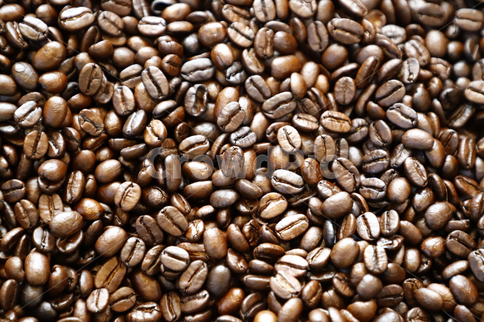 커피,원두,불랙,식물,커피콩,커피,카페,coffee,cafe