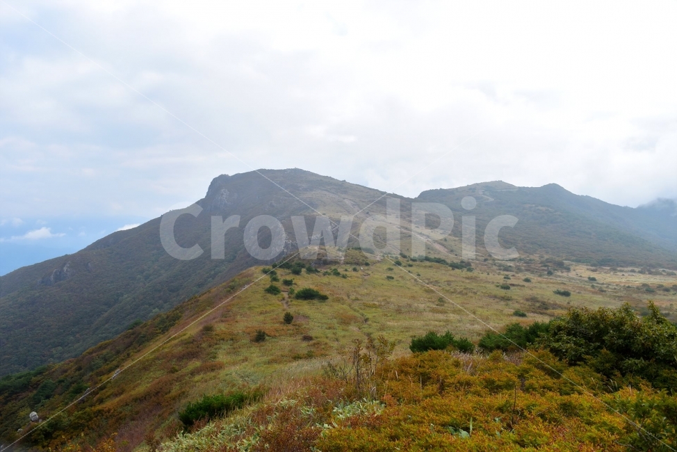 영축산,신불산,영남알프스가을,풍경,낙엽,명산,자연,비경,단풍나무,가을색,가을색채,가을풍경,운해,장관,구름,억새,영알,억새평전,mountain,landscape,가을,계절,fall,autumn,season,자연,풍경,nature,landscape,한국자연풍경,한국자연경관,korea nature landscape,outdoors,옥외,hill,언덕