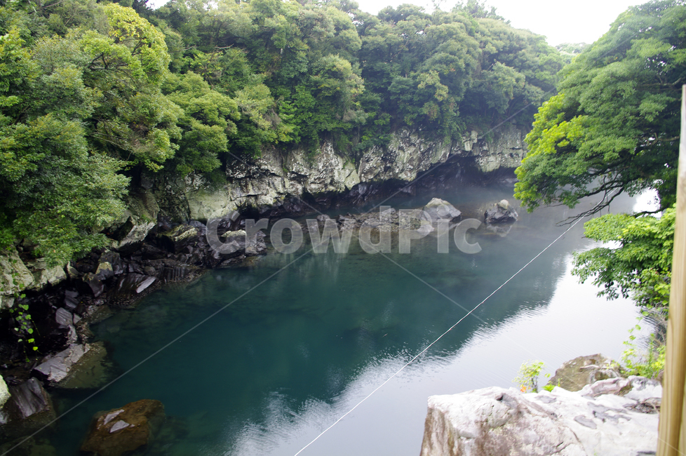 제주,쇠소깍,풍경,하천,나무,식물,자연,풍경,nature,landscape,한국자연풍경,한국자연경관,korea nature landscape,제주도,jeju,jeju island,water,물,outdoors,옥외