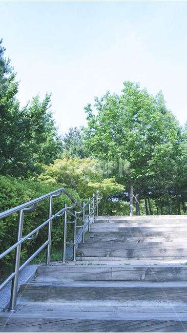 계단,공원,풍경,자연,야외,나무계단,나무,초록,배경화면,식물,stair,wood,background,plants,park,outside,green,nature,landscape,woodstair