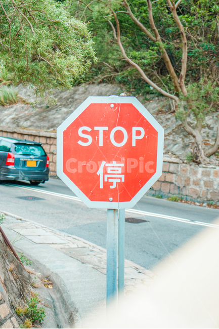도로,표지판,stop,빨간색,길,교통,교통수단,traffic,transportation
