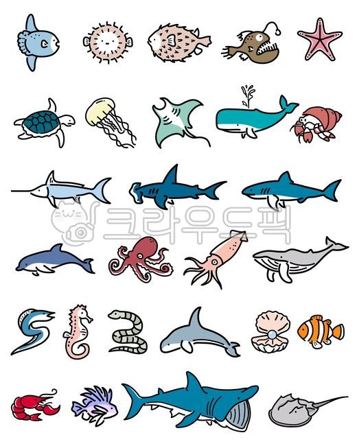일러스트,바다생물,캐릭터,물고기,seacreature,상어,고래,투구게,바다