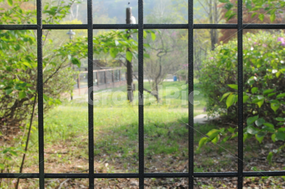 봄,spring,풍경,철창,울타리
