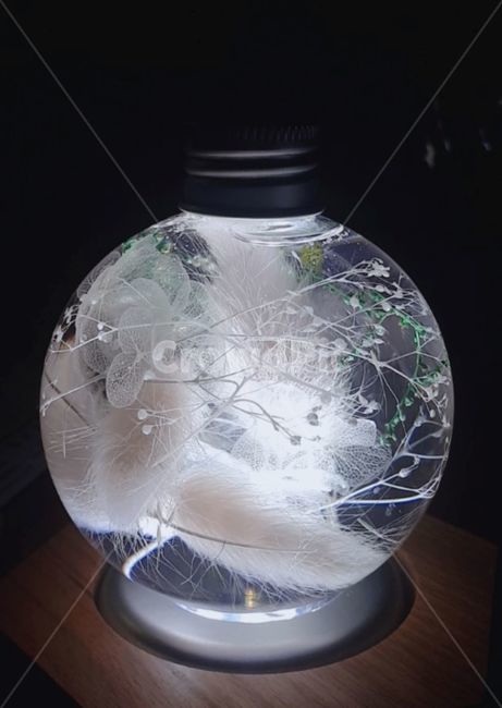 하바리움,테라리움,꽃,무드등,사랑,사물,물건,오브젝트,thing,object,matter