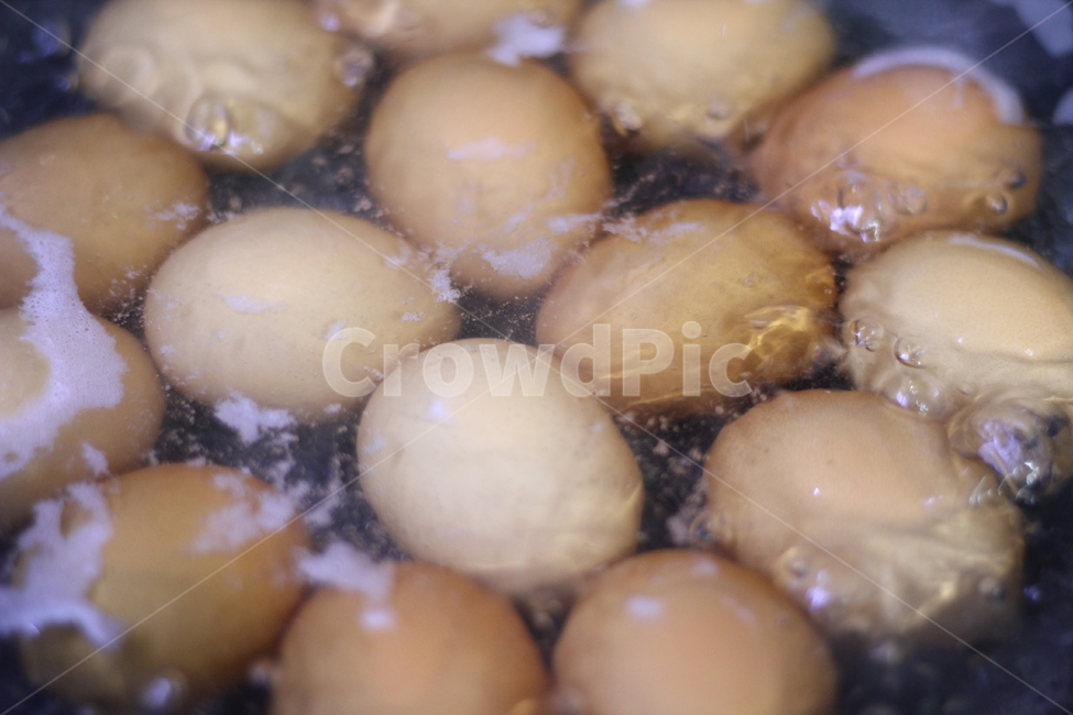 계란,달걀,삶은달걀,물,egg,food,음식,온수,수증기,끓는물,계란껍질,닭,암탉,음식,식재료,요리,food,cook,meal,dishes,food reserves