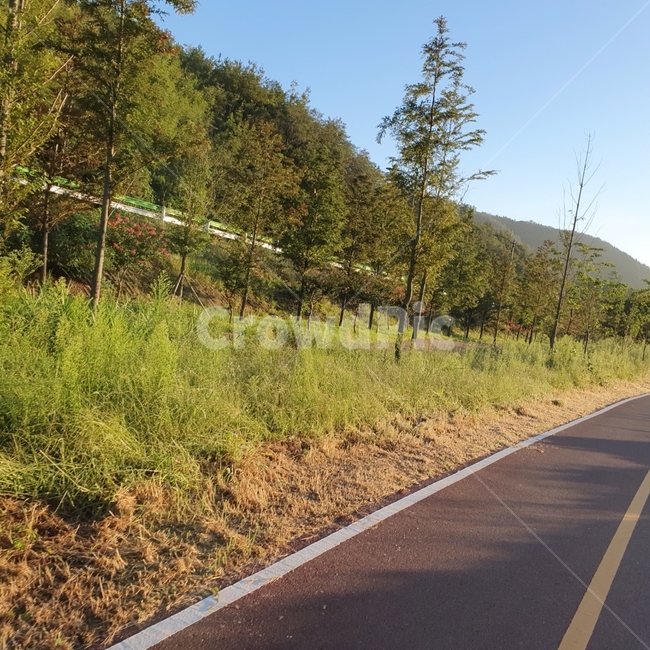 freeway,road,도로,산책,산책로,나무,풍경,자연,풍경,nature,landscape,highway,고속도로,고속 도로,asphalt,아스팔트