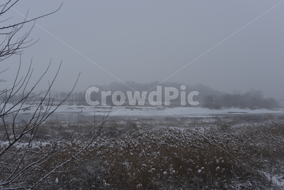 눈,겨울,자연,계절,하늘,안개,winter,snow,fog,mist,논,풍경,겨울,계절,winter,season,자연,풍경,nature,landscape