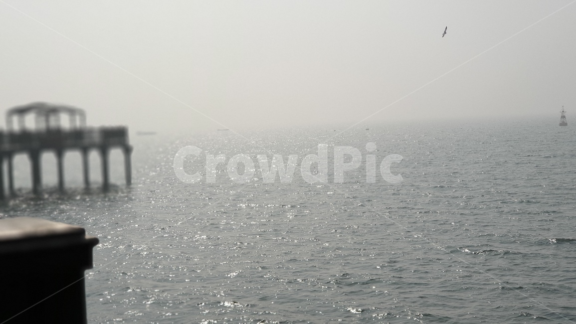 바다,파도,새,갈매기,바닷가,sea,여름,summer,season,다리