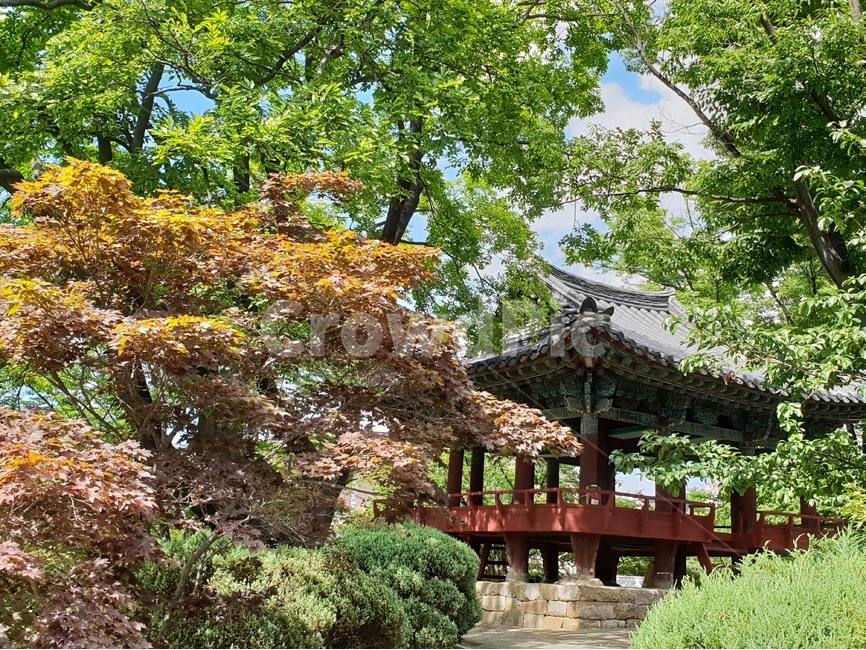 연화지,고건축,나무,여름,공원,누각,정자,초록,배경,배경이미지,배경화면,한국전통,한국문화,한국전통,한국문화,korean traditional,korean culture,건축물,건물외관,exterior,building,structure,architecture,construction