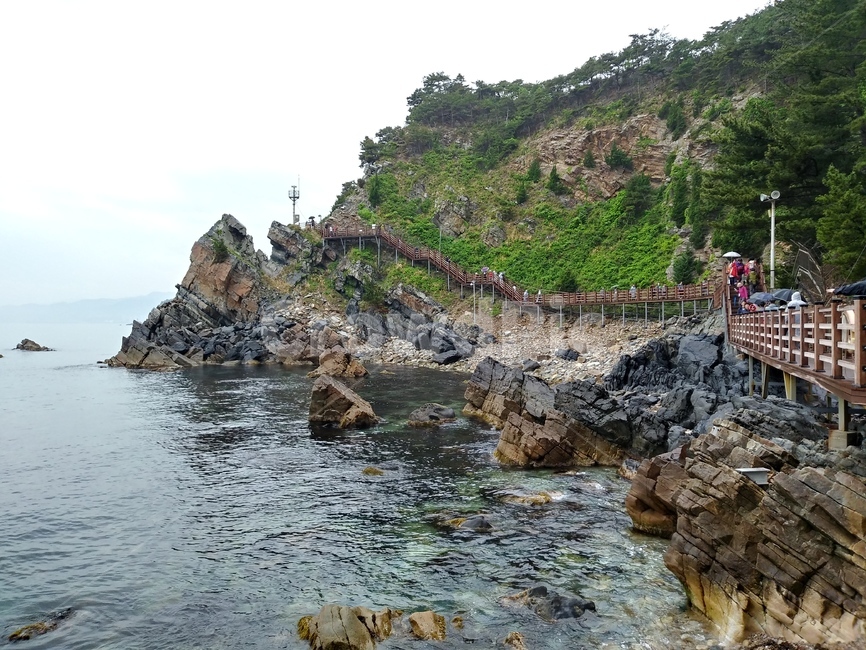부채바위,부채길,정동진부채바위,강릉부채바위,부채바위해안가,해안가길,해안선,sea,바다,자연,풍경,nature,landscape