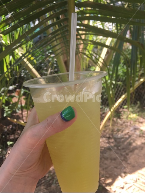 주스,음료수,야자수,베트남여행,네일아트,음료수,drink,beverage