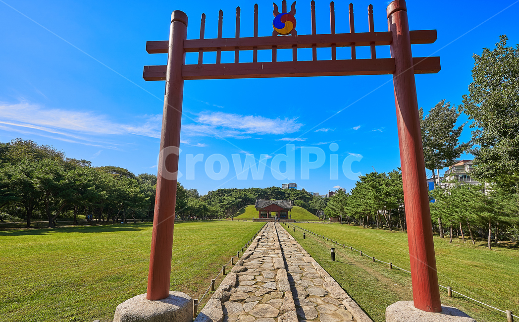 왕릉,정릉,묘자리,소나무,무덤,자연,풍경,nature,landscape,한국전통,한국문화,korean traditional,korean culture,gate,문