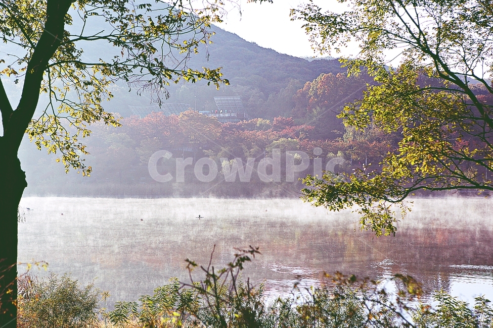 호수,단풍,아침,인천대공원,물안개,물,식물,나무,자연,풍경,공원,자연,풍경,nature,landscape,한국자연풍경,한국자연경관,korea nature landscape