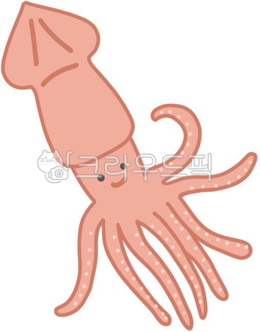 오징어,오징어일러스트,바다,바다생물,해양생물,sea,squid,해양,수산물,ocean,수산시장,오징어캐릭터
