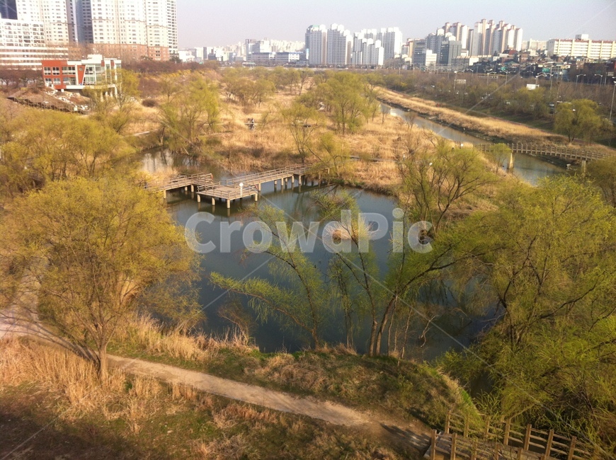 공원,배경,가을,나무,연못,도심