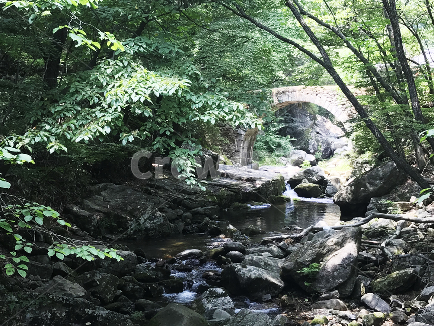 숲,다리,강,풍경,돌다리,숲속,여름,계곡,자연,휴식,힐링,healing,자연,풍경,nature,landscape,water,물,outdoors,옥외,stream,흐름,creek,작은 만