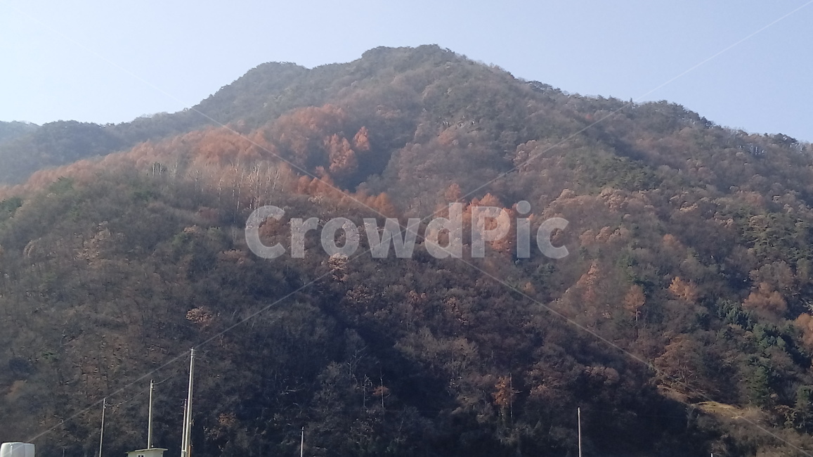 산,가을,낙엽,산맥,자연