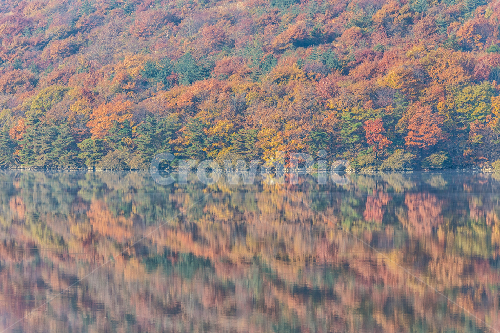 가을단풍,반영,가을,단풍,호수,nature,자연,outdoors,옥외,land,땅,water,물,scenery,풍경