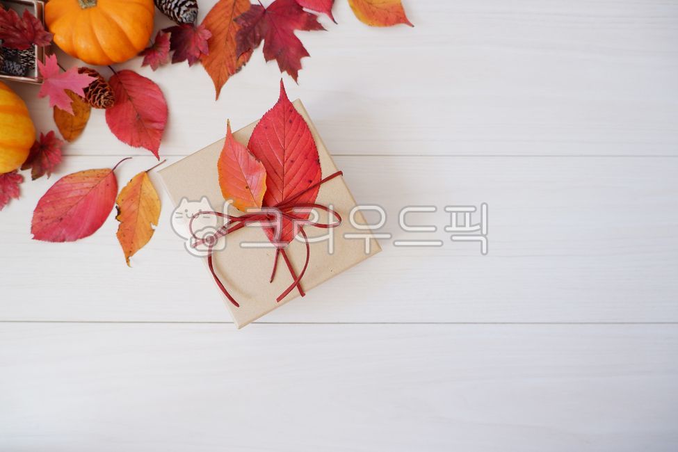 gift,next to the fall,box,fall image,background image,harvesting,fall,leaves,pine cone,wood,Maple,November,autumn background,Box,leaf,background,plant,october,autumn,pumpkin,colorful
