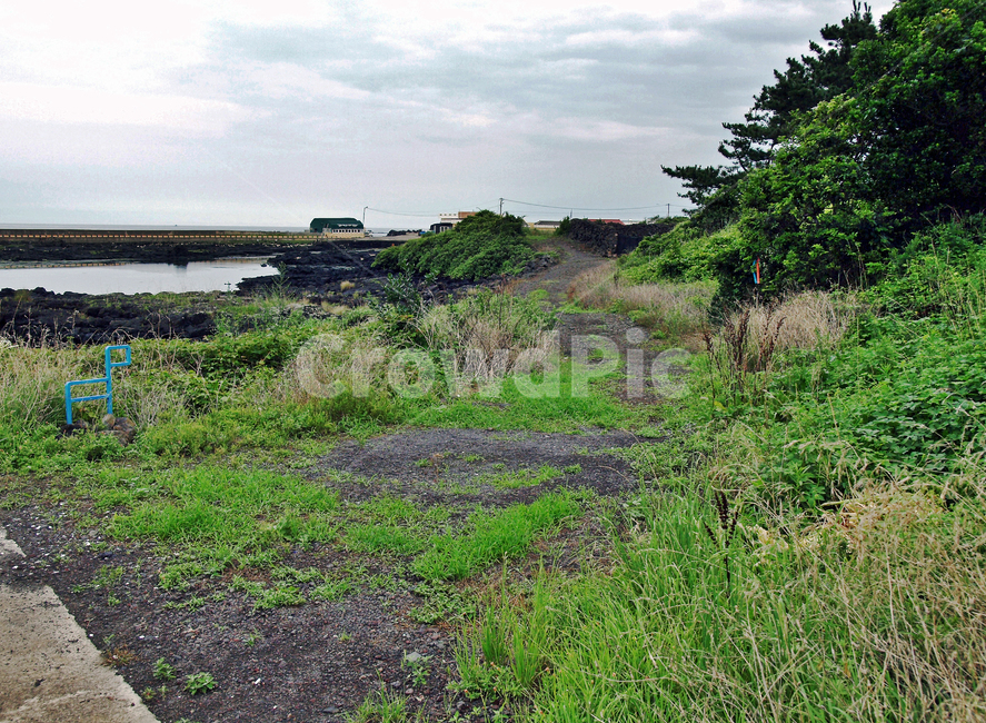 김녕농로,제주,올레19코스,올레길,밭,간세,자연,풍경,nature,landscape,outdoors,옥외,ground,바닥