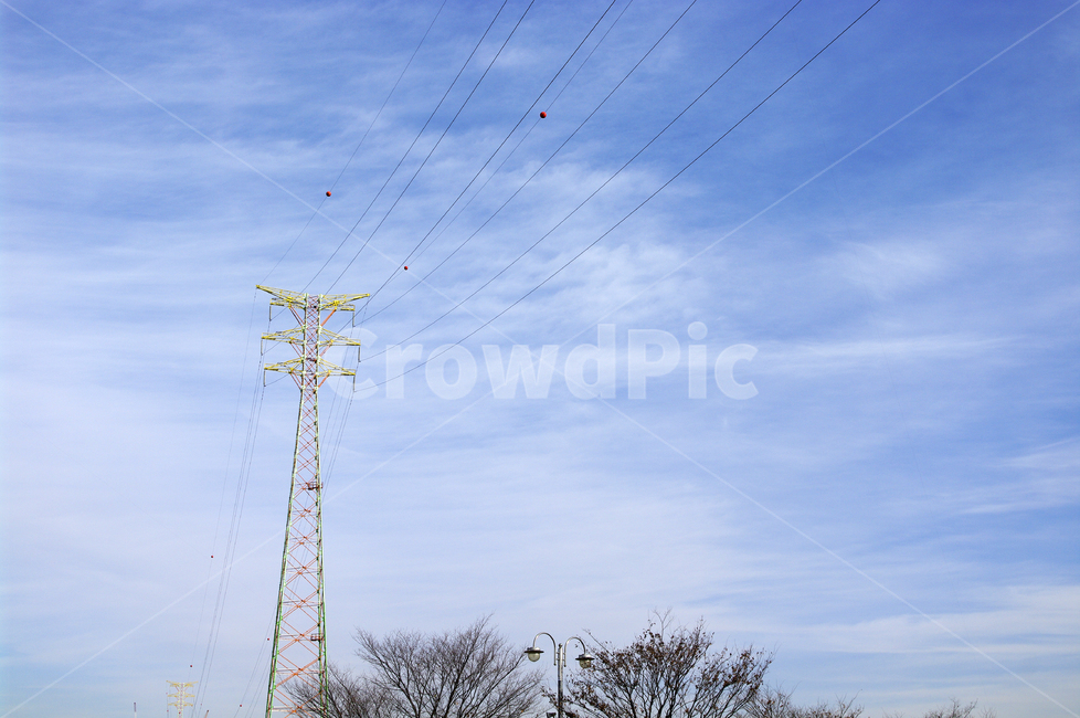 하늘,구름,풍경,전선,나무,에너지산업,energy industry,cable,케이블,power lines,전력선