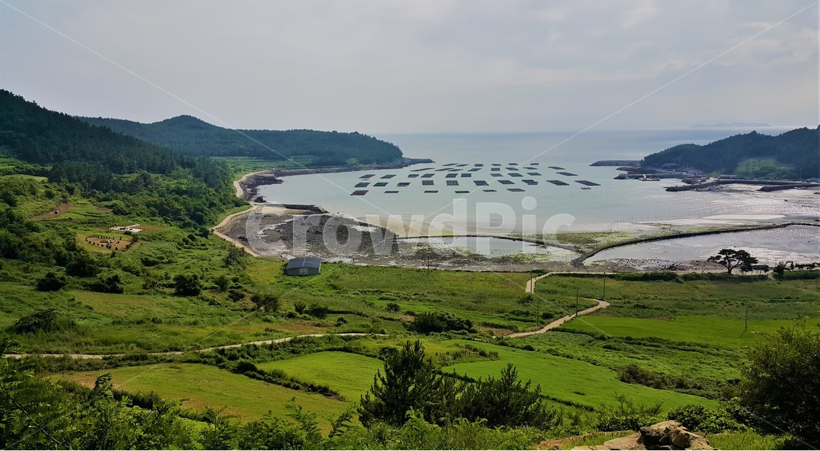 여행,풍경,자연,섬,바다,청산도,밭,경치,경관,한국,korea,자연,풍경,nature,landscape,한국자연풍경,한국자연경관,korea nature landscape,시골,마을,country,rural,town,land,땅,outdoors,옥외,ocean,대양,sea,water,물,scenery,shoreline,해안선