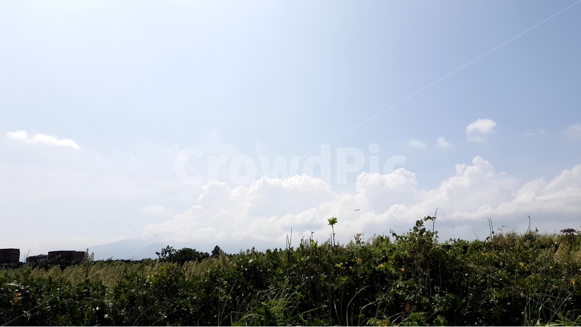 하늘,구름,풍경,풀,자연,맑음,시원함,쾌적함,sky,cloud,scenery,landscape,grass,nature,sunny,freshness,자연,풍경,nature,landscape,weather,날씨,outdoors,옥외,cumulus,적운