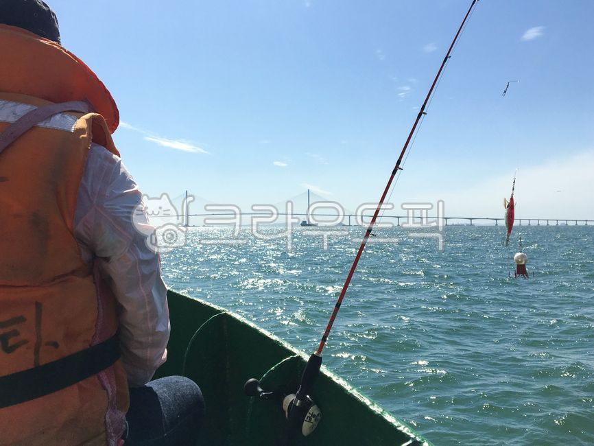 octopus fishing,fishing,Fishing,Incheon sea,sea fishing,boat fishing,boat