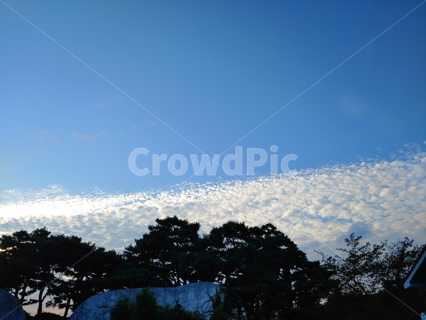 nature,자연,outdoors,옥외,하늘,구름,파란하늘