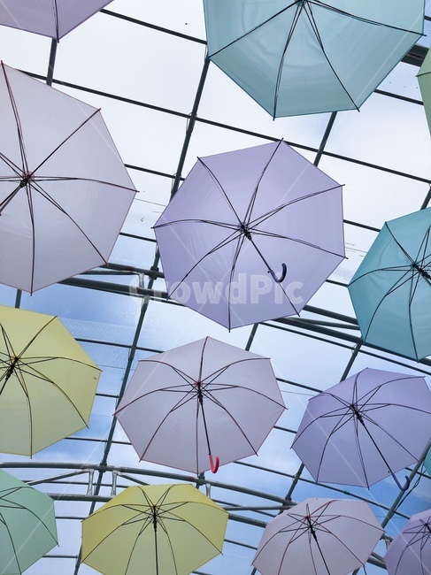 우산,파스텔톤,umbrella,보라,핑크