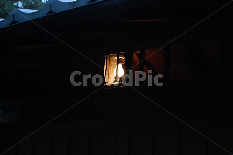 전등,불빛,밤,조명,램프,lamp,lampshade,빛,light