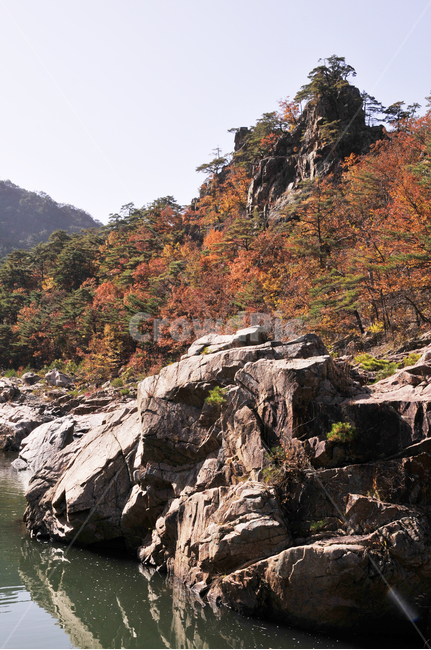 불영사,불영사계곡,가을,단풍,자연,nature,mountain,산,가을불영사,가을불영사계곡