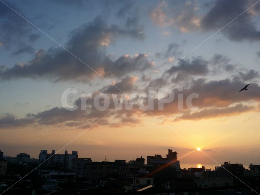 하늘,구름,야경,노을,새,해,도시,풍경,city,landscape,nature,자연,outdoors,옥외,sunlight,햇빛,animal,동물,bird,dusk,황혼,sky,dawn,새벽,red sky,붉은 하늘,sunset,일몰