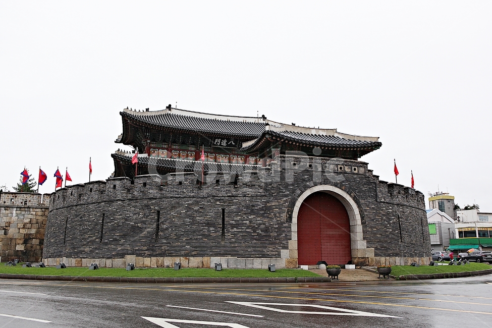 수원화성,서,성곽,길,둘레길,돌담,담,가을,자연,풍경,벽,방어벽,전통,흙담,식물,한국전통,한국문화,korean traditional,korean culture,건축물,건물외관,exterior,building,structure,architecture,construction