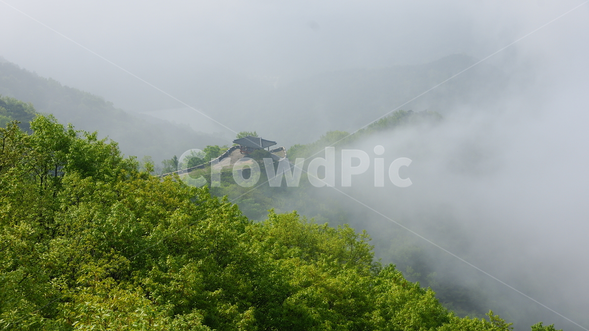 담양,금성산성,운해,산성,신록,자연,풍경,nature,landscape,outdoors,옥외,weather,날씨