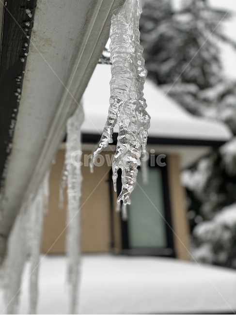 nature,자연,outdoors,ice,snow,빙,눈,winter,겨울,고드름,icicle,icicles,캐나다,canada,처마밑,감성,추운날,영하,추운겨울,얼음