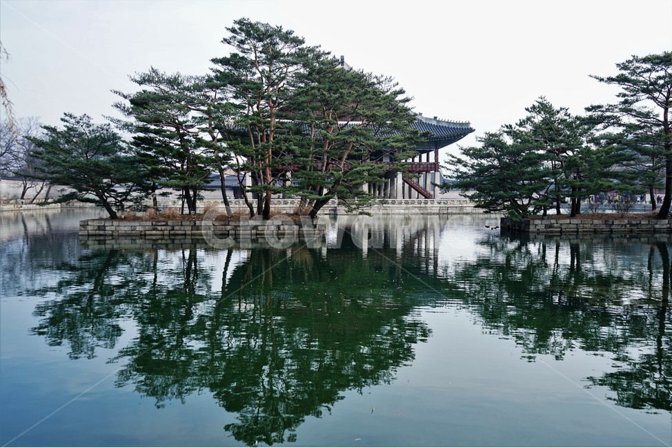 경회루,경복궁,물,반영,나무,기와,건축물,old,traditional,building,Korea,Chosun,조선시대,기와집,지붕,전통,한옥,패턴,옥상,배경,전통적인,한국의construction,한국전통,한국문화,koreantraditional,koreanculture,건물외관,exterior,structure,architecture,기와지붕,기둥,연못,소나무,연회,야간개장,조선,조선궁궐,누정,국보,팔작지붕,장대석,12지상,돌다리,계단,나무기둥,돌기둥,누각건물,큰규모,호화,간결,문화유적,한국건축물,호수,화강암,고궁,현판,전통양식,야간개방,배경사진,한국랜드마크,랜드마크,한국관광지,한국명소,한국전통,한국문화,korean traditional,korean culture,랜드마크,landmark,tourist attraction,한국랜드마크,한국관광지,한국명소,korea landmark,korea tourist attraction,건축물,건물외관,exterior,building,structure,architecture,construction
