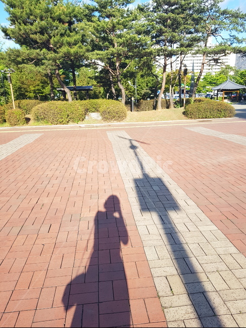 그림자,여름,맑은날,사람그림자,아스팔트길