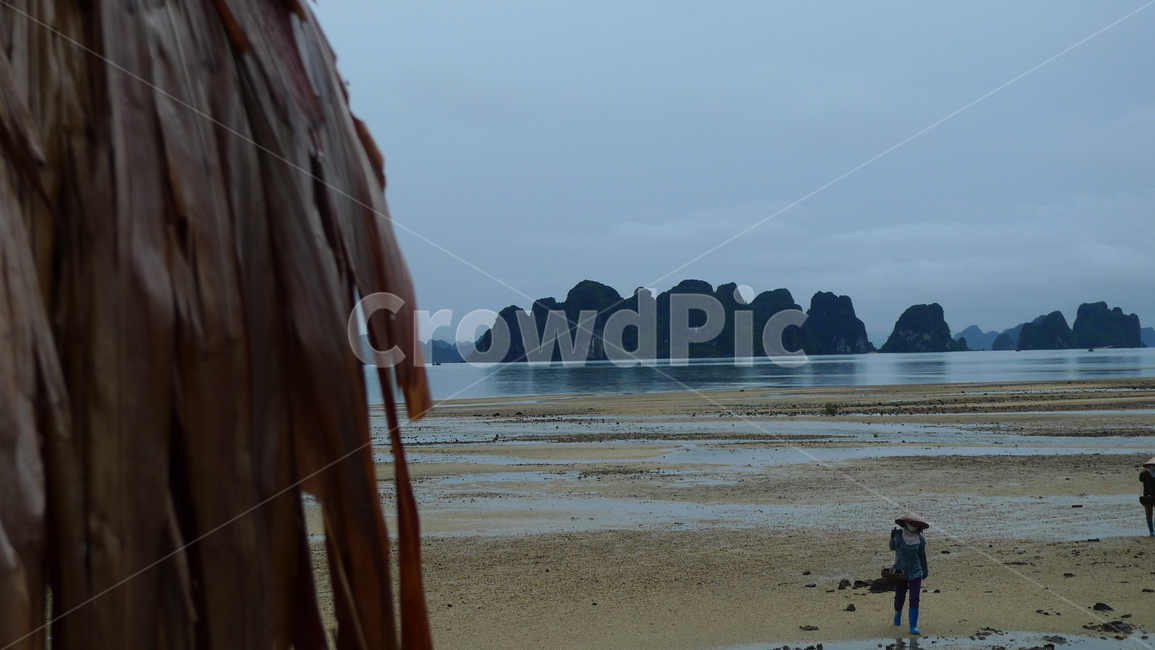 자연,outdoors,해안선,바다,ocean,shoreline,베트남바다,해변,바다,beach,sea