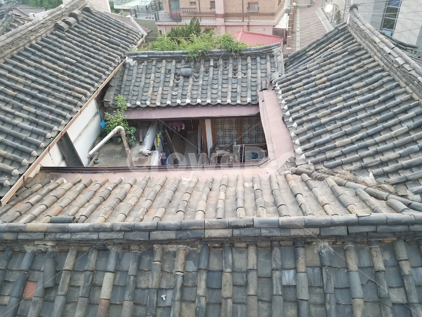 한옥,한옥지붕,기와지붕,한국집,주거지,옛날집