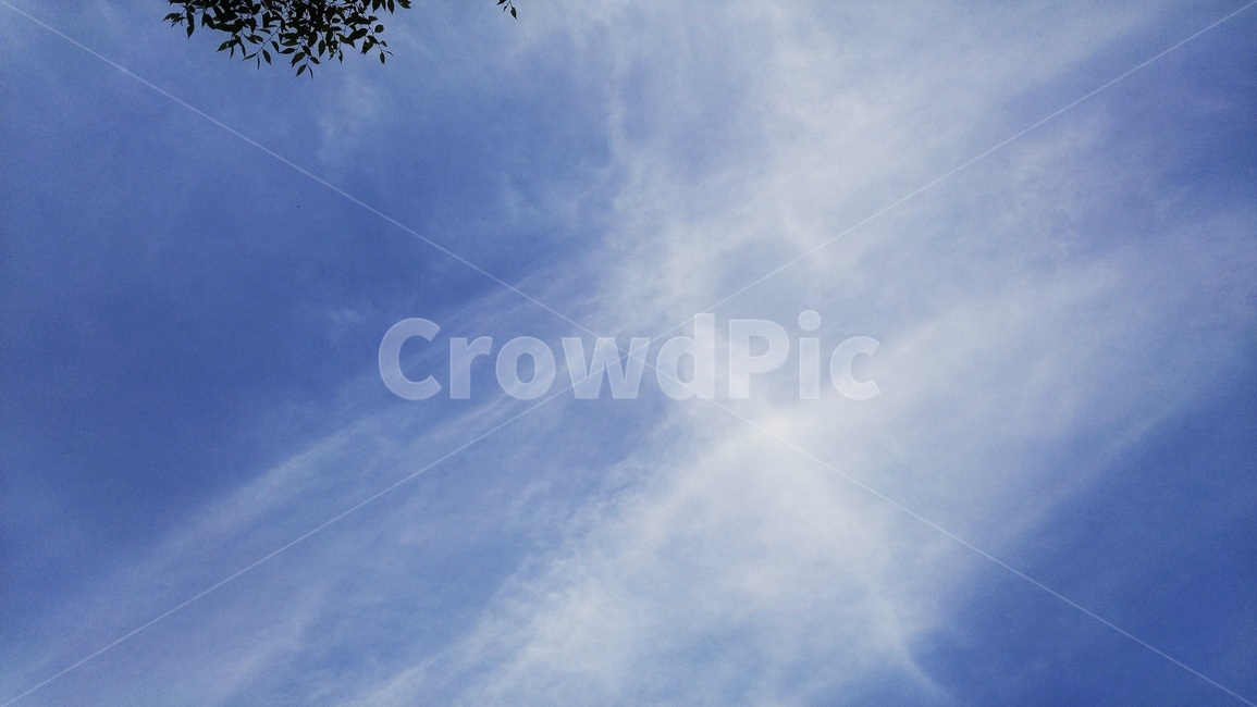 nature,자연,outdoors,옥외,비행기모양,비행기,free,자유,sky,하늘,peace,평화로운,cloud,구름,이파리,푸른하늘,휴식,자연,풍경,nature,landscape