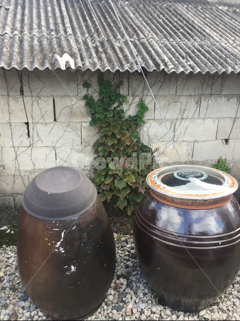 장독대,담장,덩쿨,장독,시멘트담장,슬레이트지붕