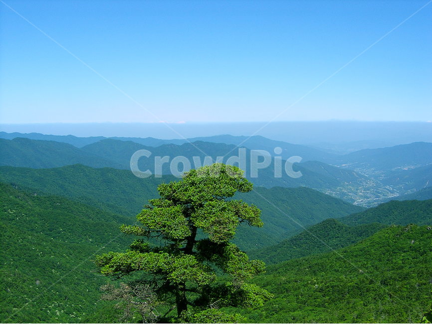 지리산,지리능선,지리산계곡,여름지리산,6월지리산,6월지리산,자연,풍경,nature,landscape,한국자연풍경,한국자연경관,korea nature landscape,outdoors,옥외,hill,언덕