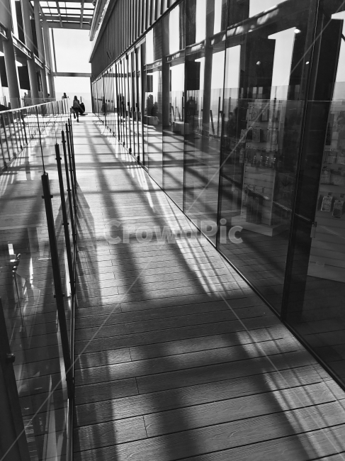 흑백,남산,그림자,햇빛,유리,흑백,모노톤,monochrome,black and white