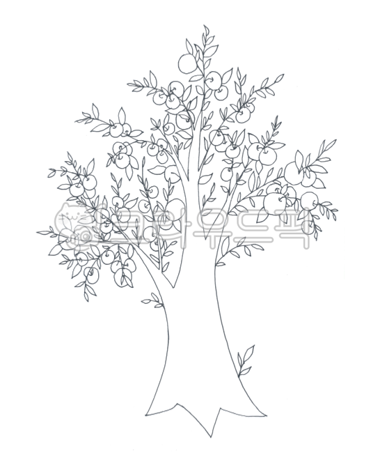 사과,사과나무,나무,과일나무,손그림,펜그림,가을과일,빨간과일,장식,배경,나뭇잎,열매