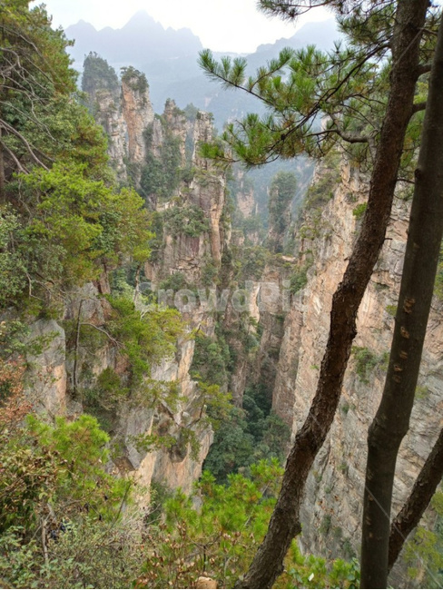 경치,자연,풍경,장가계,아바타,자연,풍경,nature,landscape
