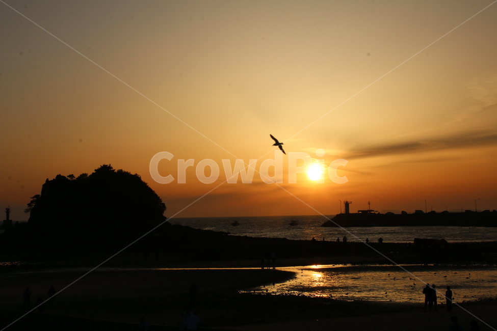 일몰,서해바다,꽃지해수욕장,환상,석양,자연,풍경,nature,landscape,한국자연풍경,한국자연경관,korea nature landscape,flare,플레어,light,빛,sunlight,햇빛