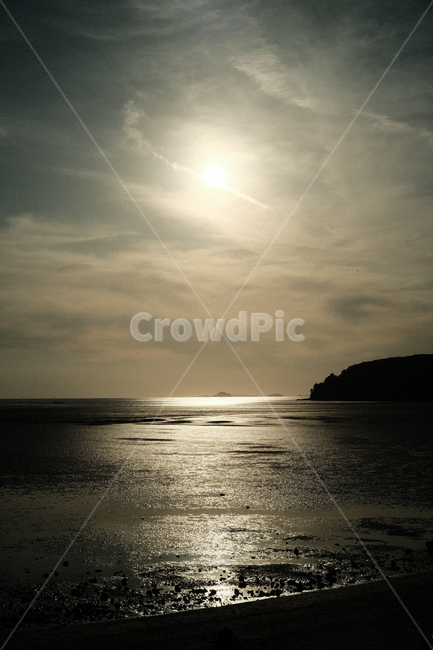 바다,갯벌,일몰,sunset,sea,flare,플레어,light,빛,sunlight,햇빛,nature,자연,자연,풍경,nature,landscape