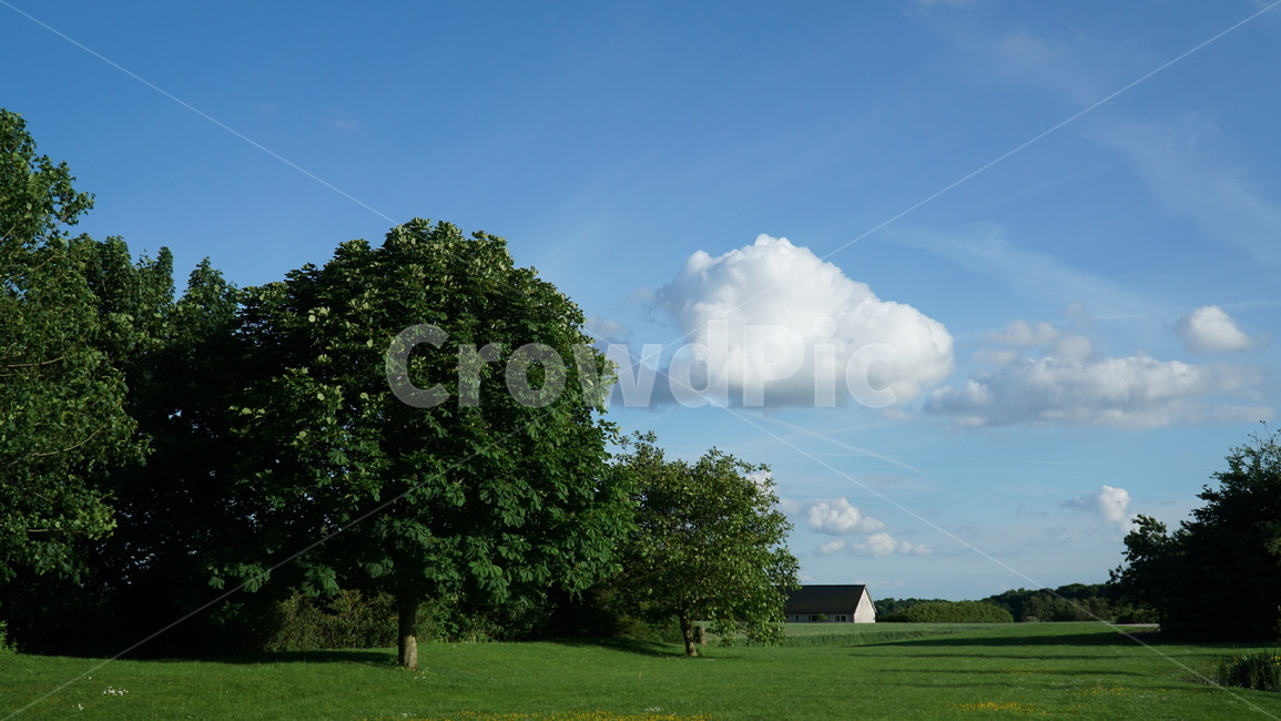 하늘,구름,sky,cloud,sensible,초원,자연,나무,감성사진,자연,풍경,nature,landscape,plant,식물,grass,잔디,outdoors,옥외
